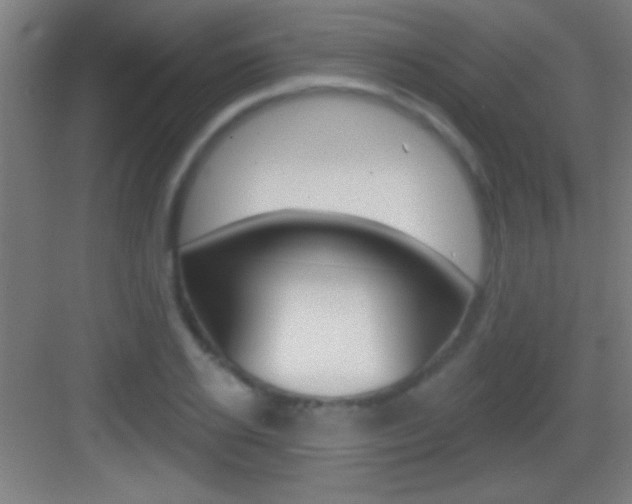 X0000083570934200702090811