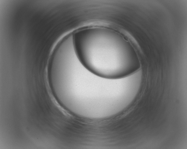 X0000083570936200702090811