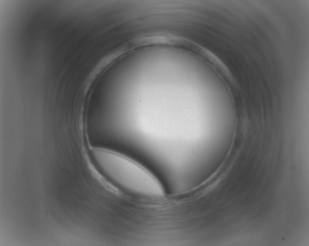 X0000083570938200702090811
