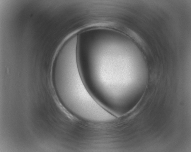 X0000083570940200702090811