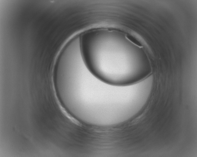 X0000083570942200702090811