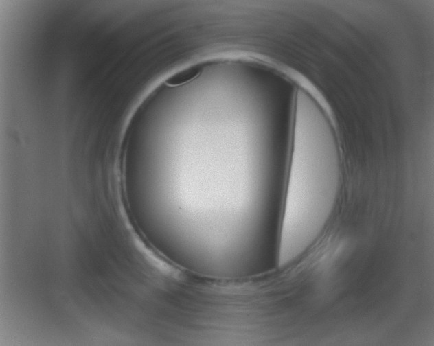 X0000083570951200702090812