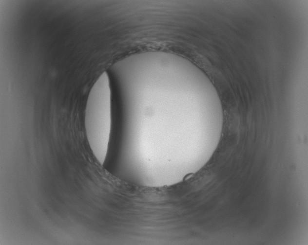 X0000083570962200702090811