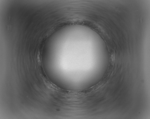 X0000083570963200702090811