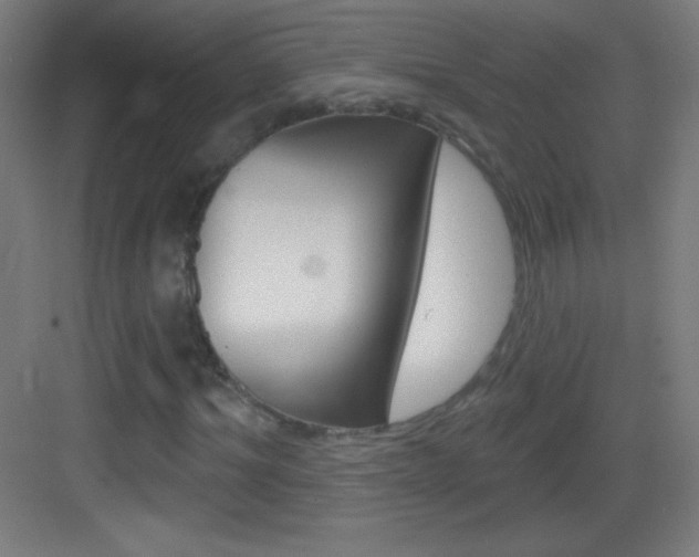 X0000083570964200702090811