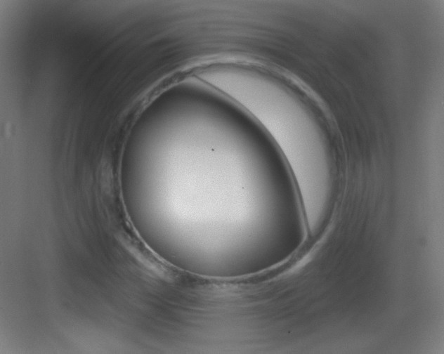 X0000083570969200702090811