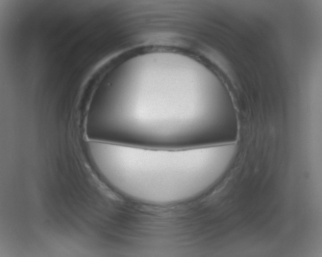 X0000083570971200702090811