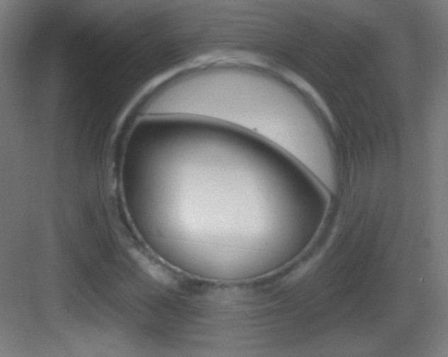 X0000083570973200702090811