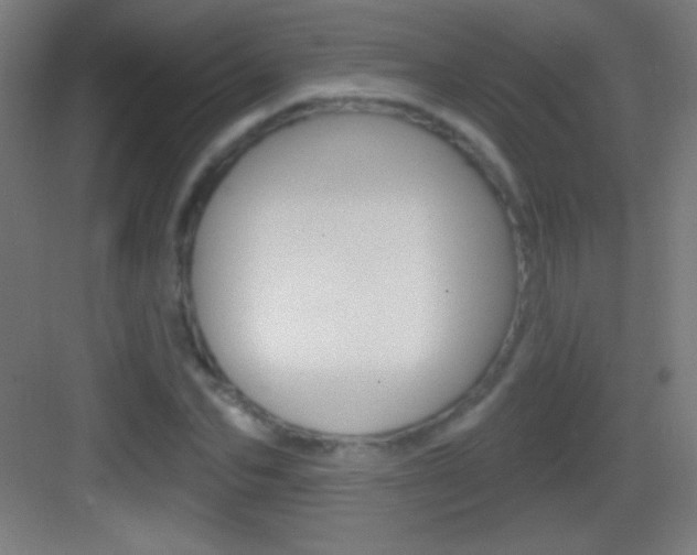 X0000083570974200702090811
