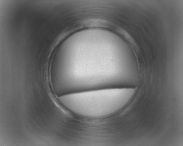 X0000083570986200702090811