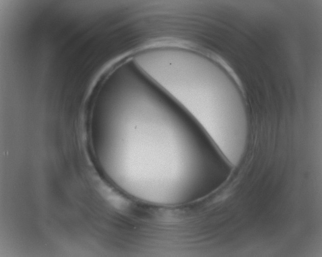 X0000083570987200702090811