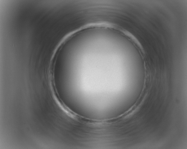 X0000083570989200702090810