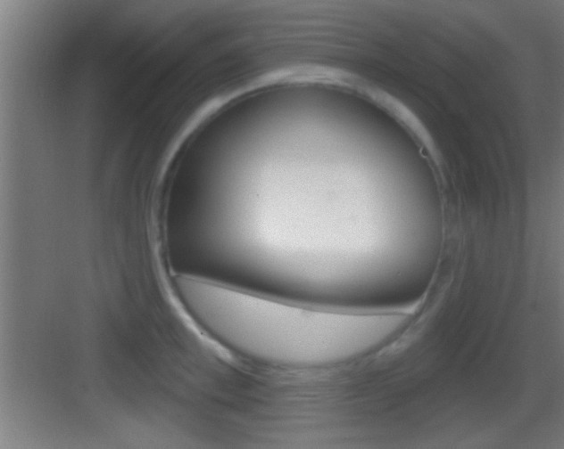 X0000083570997200702090810