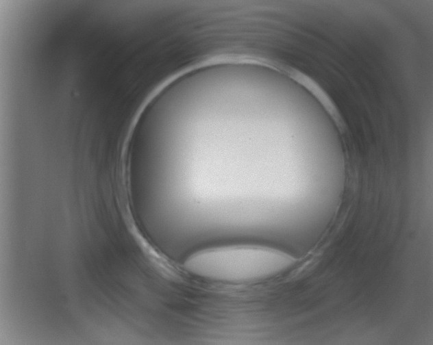 X0000083571004200702090810