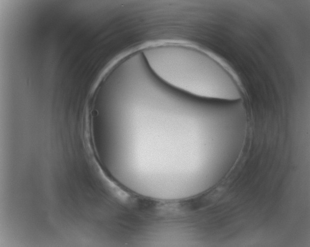 X0000083571006200702090810