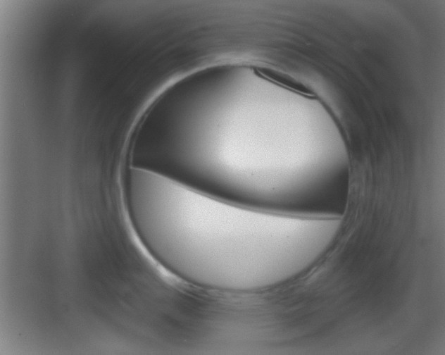 X0000083571007200702090810