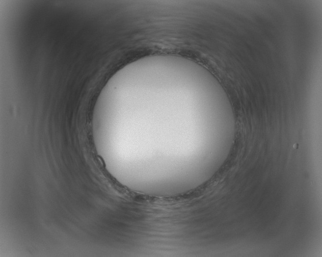 X0000083571009200702090809