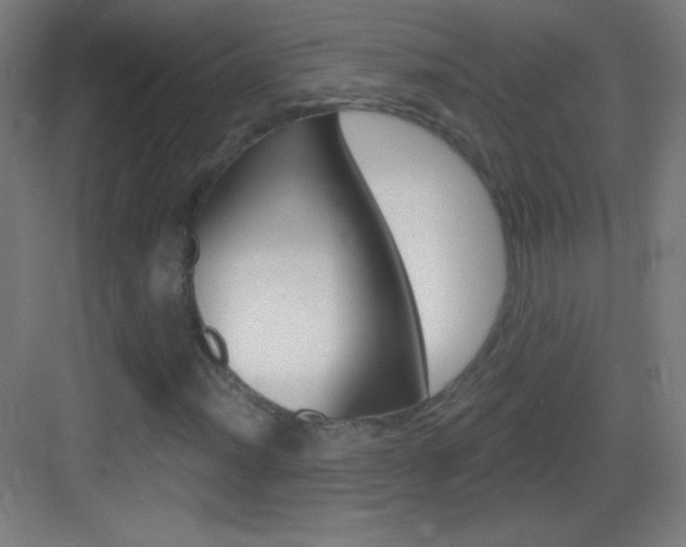 X0000083571012200702090809