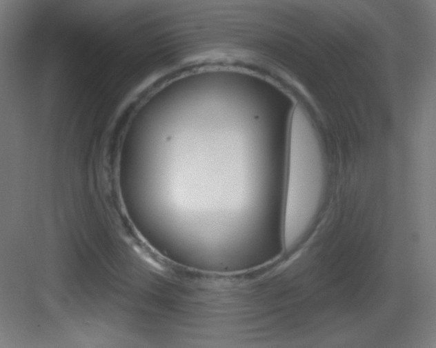 X0000083571018200702090810