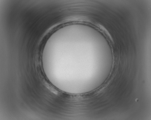 X0000083571019200702090810