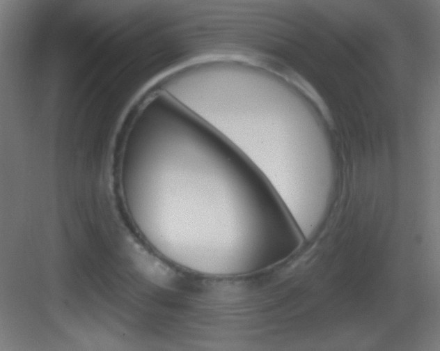X0000083571020200702090810