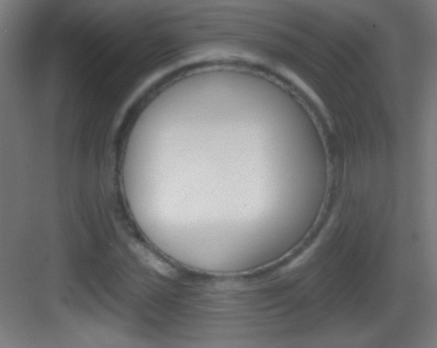 X0000083571021200702090810