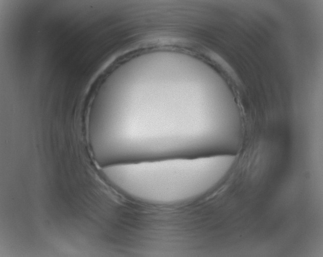X0000083571023200702090810