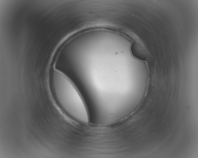 X0000083571024200702090810