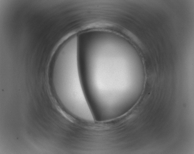 X0000083571026200702090810