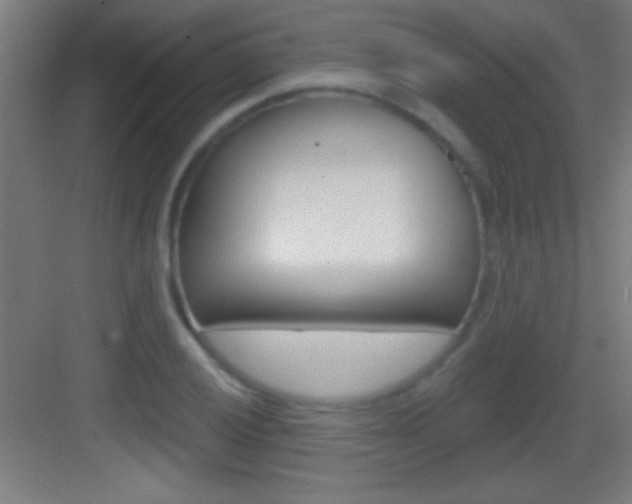 X0000083571028200702090810