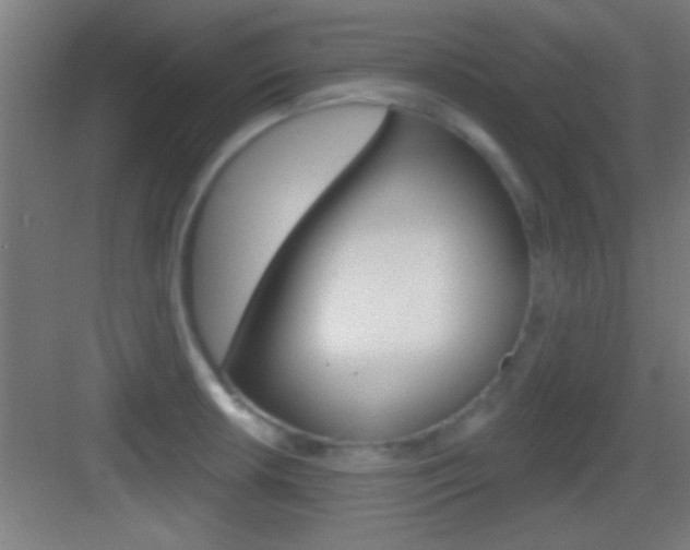 X0000083571042200702090810