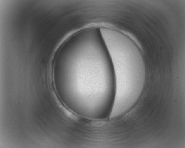 X0000083571046200702090810