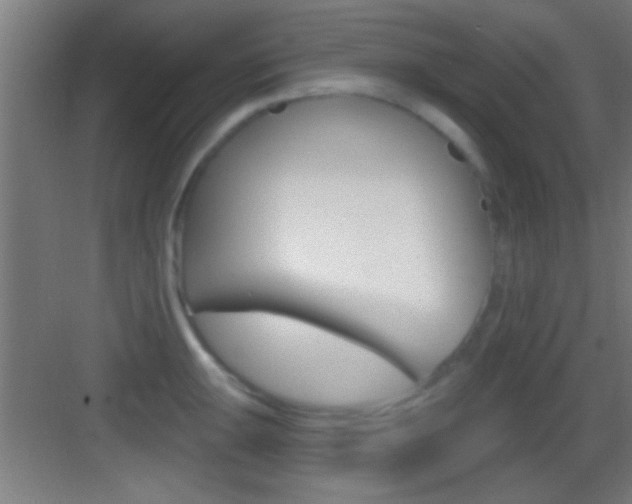 X0000083571047200702090810