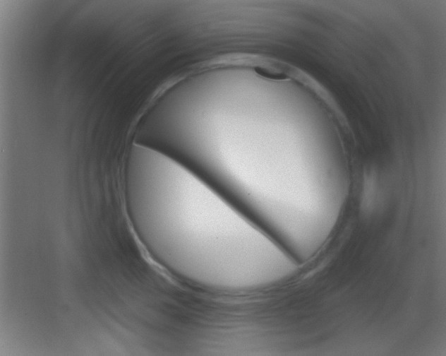 X0000083571049200702090810