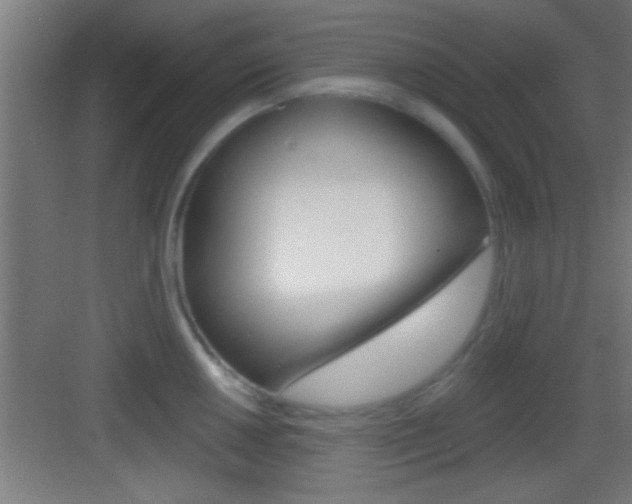X0000083571050200702090810