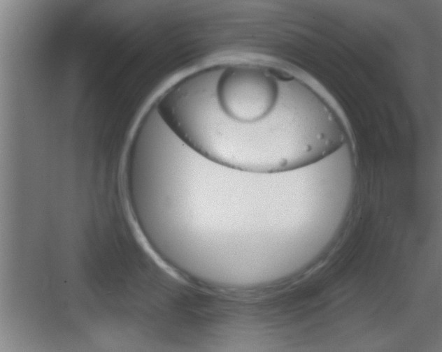 X0000083571053200702090810