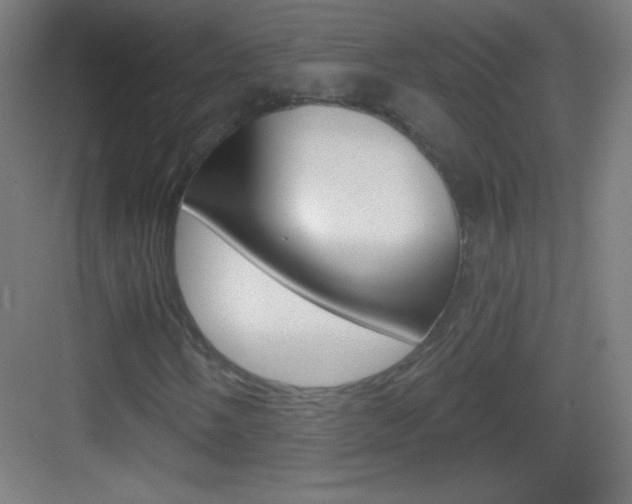 X0000083571058200702090809