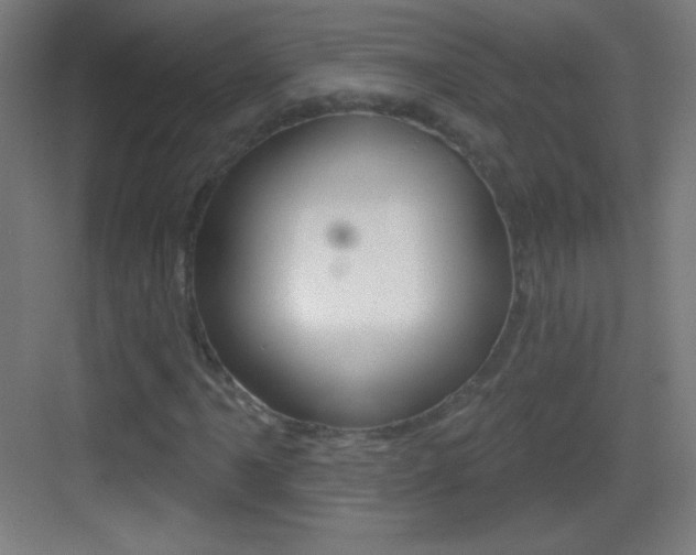 X0000083571061200702090809