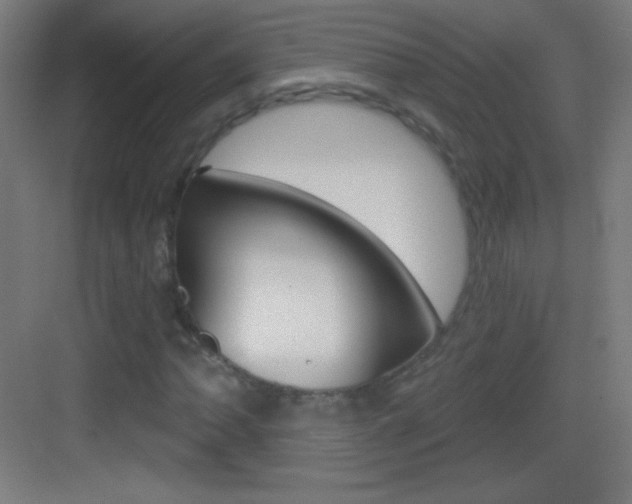 X0000083571062200702090809