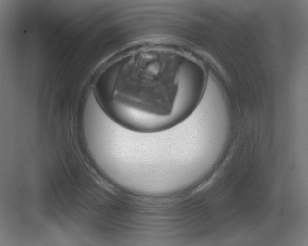 X0000083571065200702090809