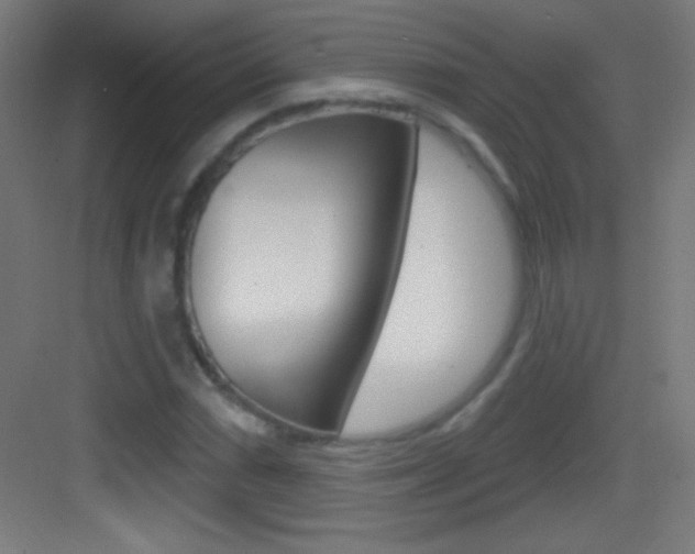 X0000083571066200702090809