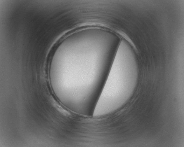 X0000083571068200702090809