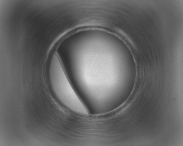 X0000083571069200702090809
