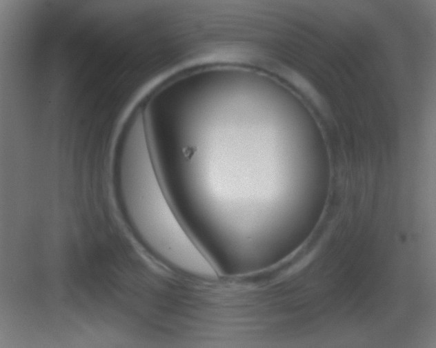 X0000083571077200702090809