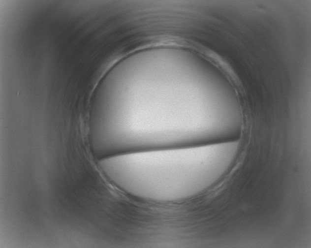 X0000083571097200702090809