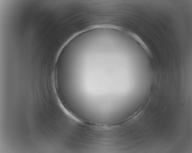 X0000083571100200702090809