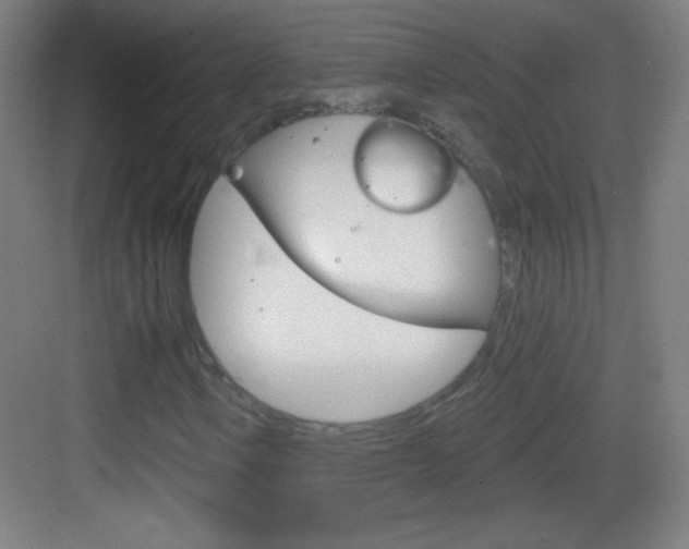 X0000083571106200702090808