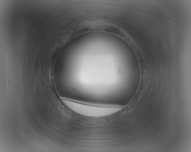 X0000083571108200702090808