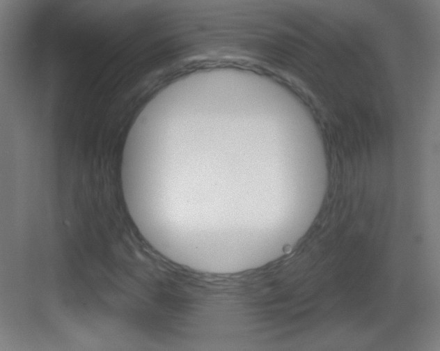 X0000083571110200702090808