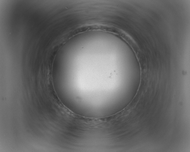 X0000083571111200702090808
